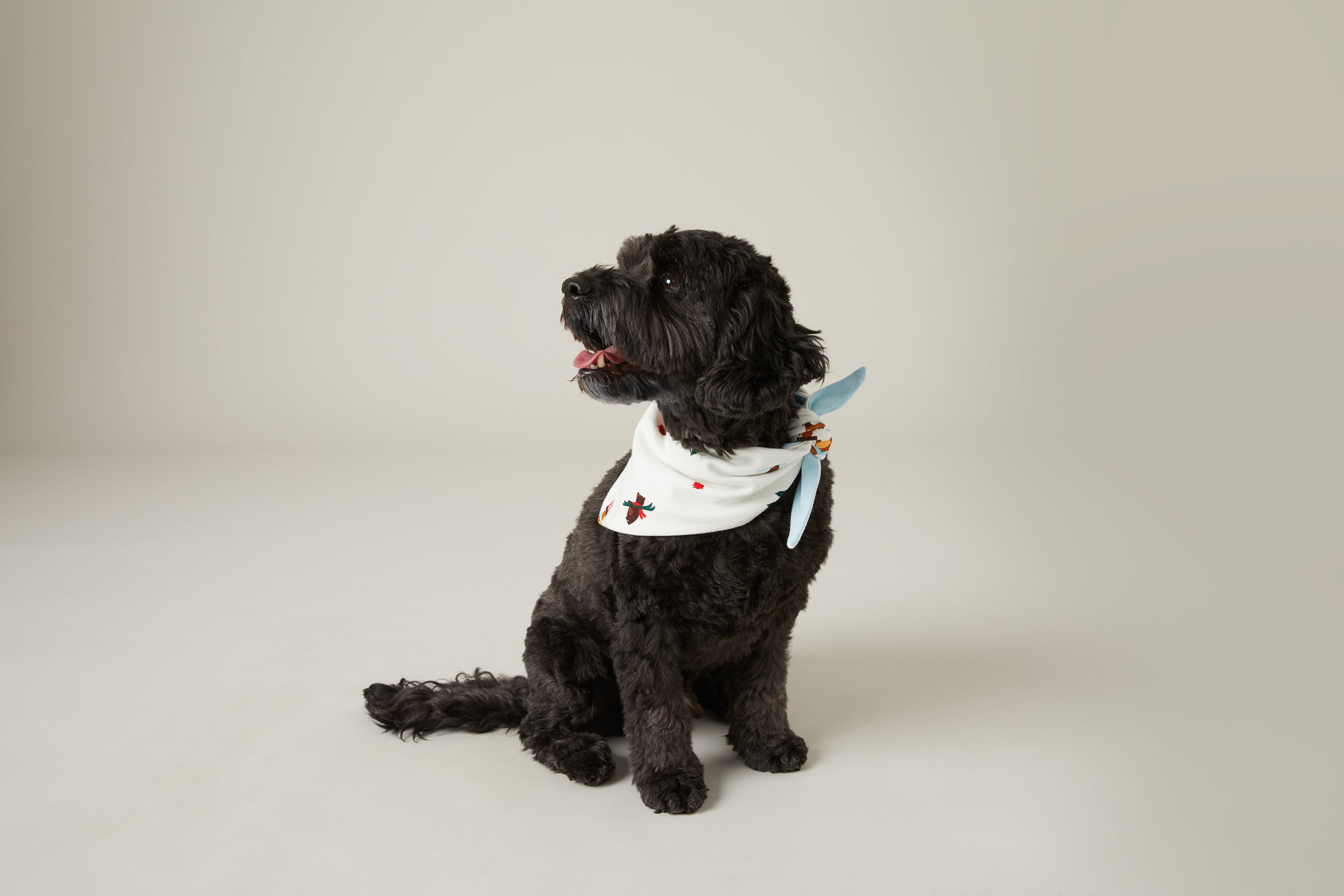 Tim Hortons Pet Bandana with Winter Bears Print | Bandana Tim Hortons pour animaux avec imprimé d’ours d’hiver des Fêtes - Image #2