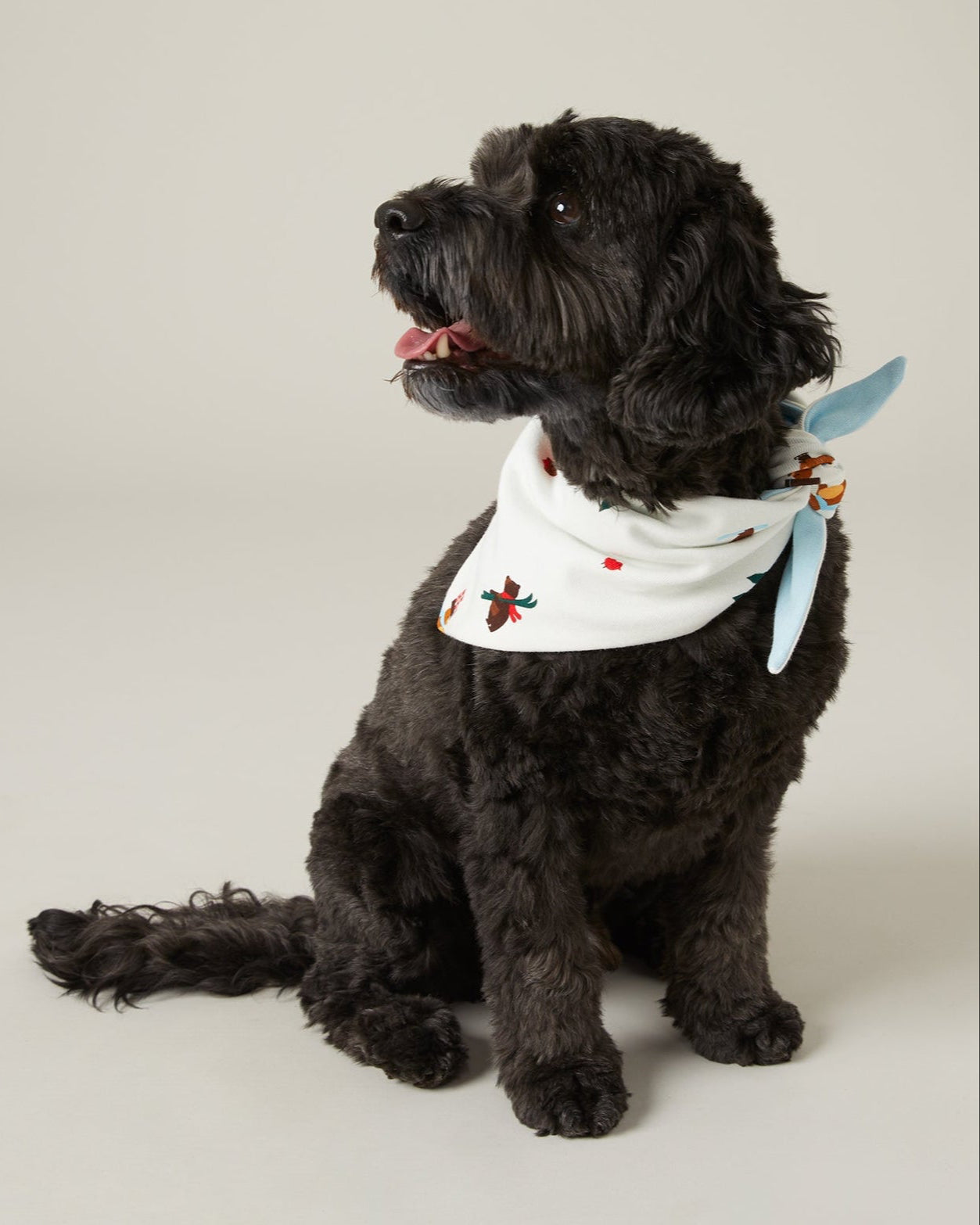 Tim Hortons Pet Bandana with Winter Bears Print | Bandana Tim Hortons pour animaux avec imprimé d’ours d’hiver des Fêtes - Image #1