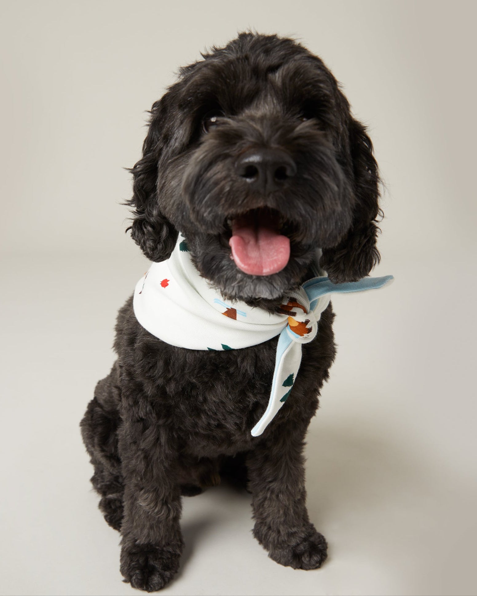 Tim Hortons Pet Bandana with Winter Bears Print | Bandana Tim Hortons pour animaux avec imprimé d’ours d’hiver des Fêtes - Image #2
