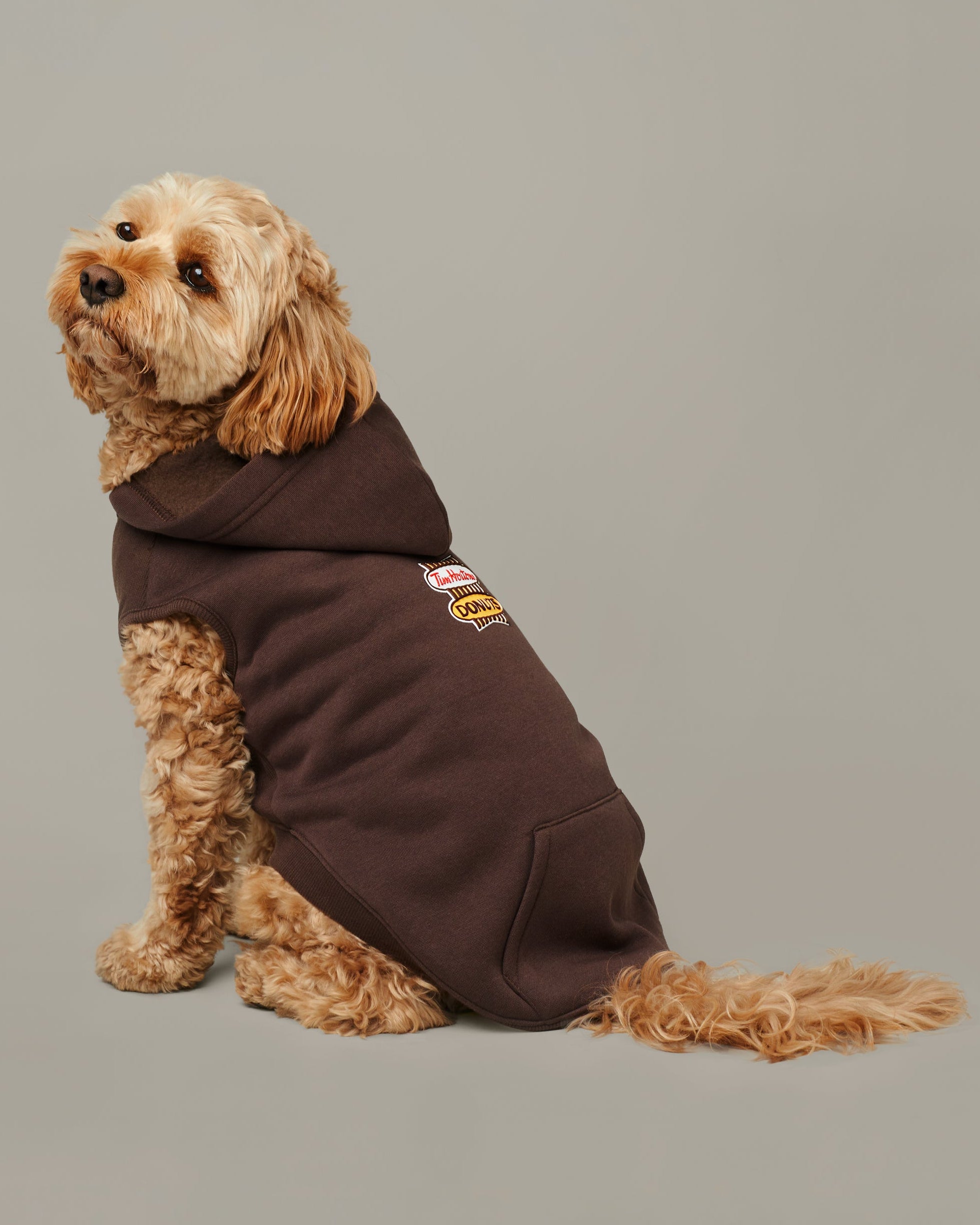 Tim Hortons Retro Logo Pet Hoodie in Espresso | Chandail à capuchon espresso avec logo rétro pour animaux de Tim Hortons - Image #2