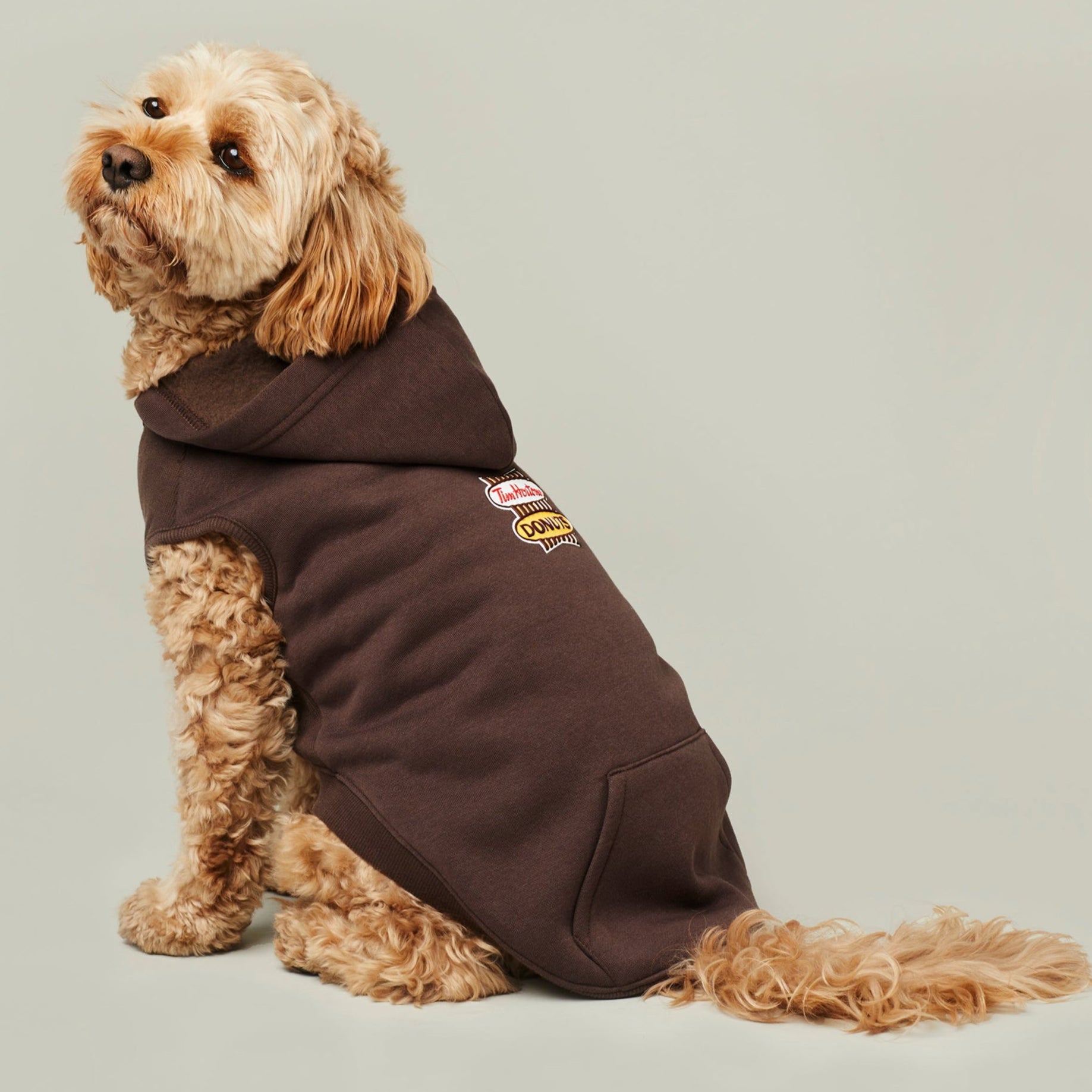 Tim Hortons Retro Logo Pet Hoodie in Espresso | Chandail à capuchon espresso avec logo rétro pour animaux de Tim Hortons - Image #2