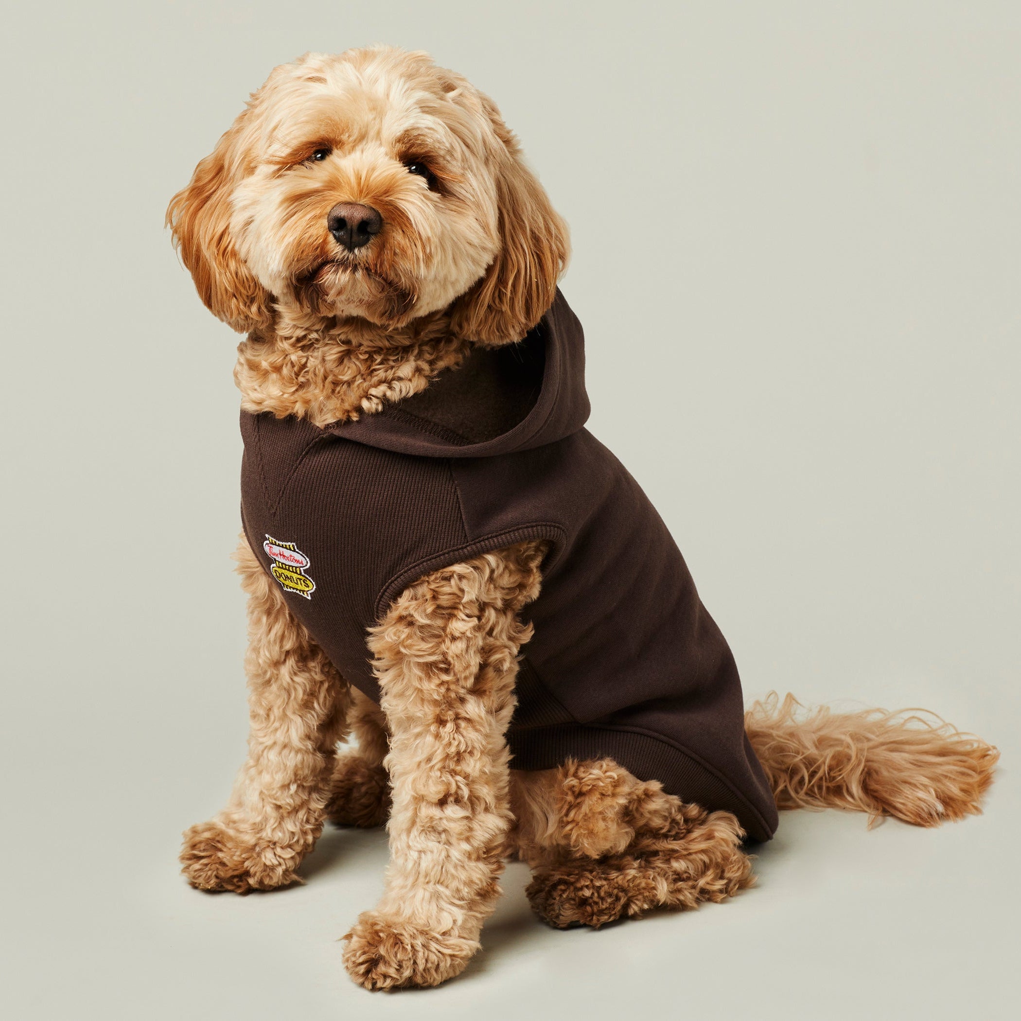 Tim Hortons Retro Logo Pet Hoodie in Espresso | Chandail à capuchon espresso avec logo rétro pour animaux de Tim Hortons - Image #1