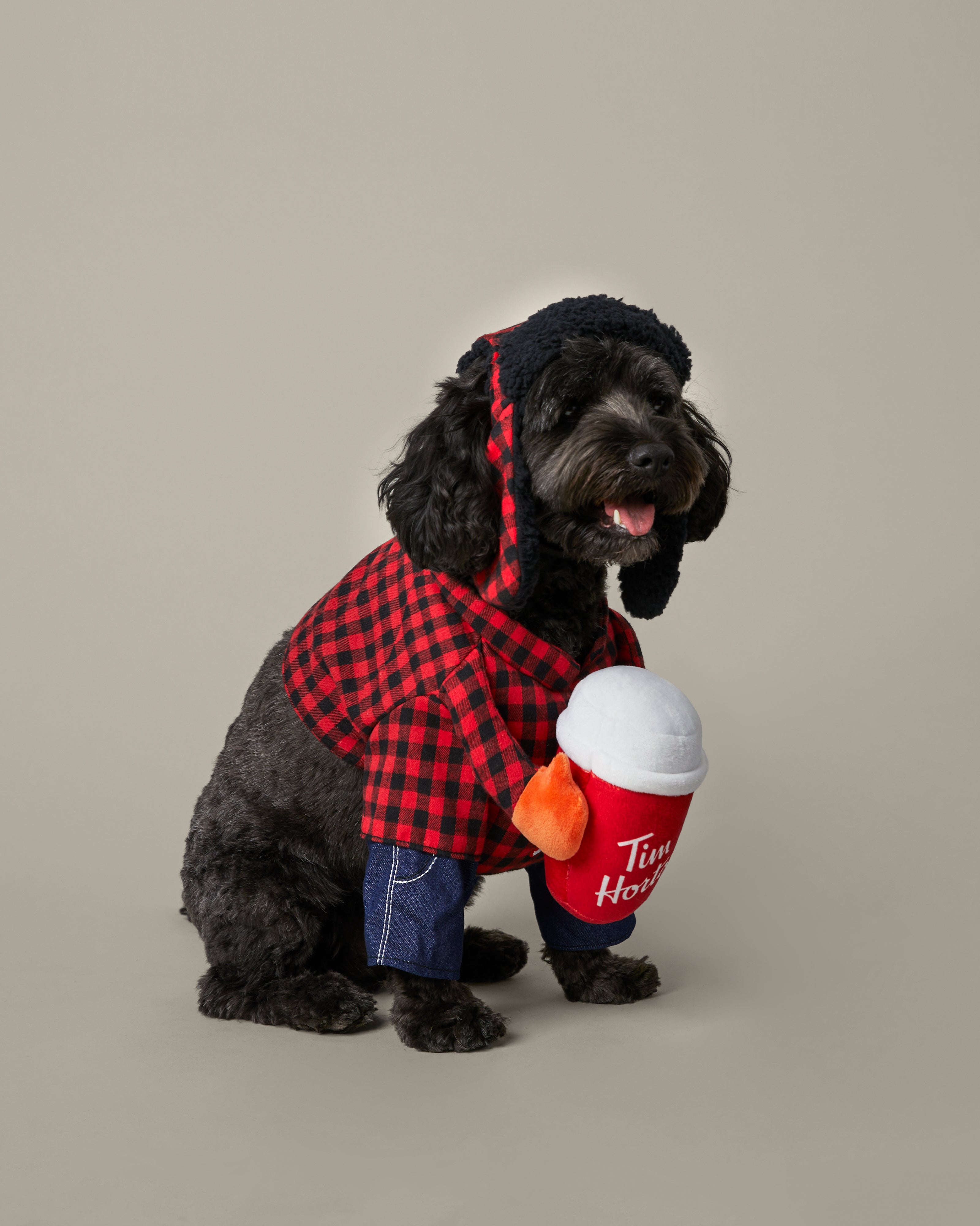 Lumberjack Pet Costume - TimShop - Image #1