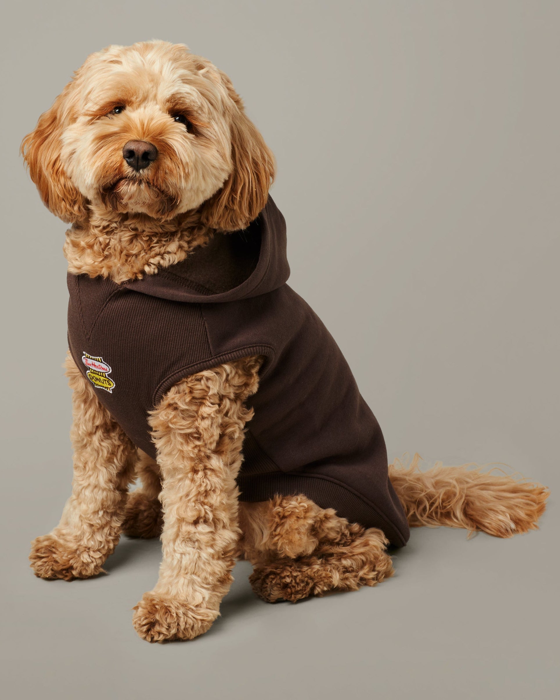 Tim Hortons Retro Logo Pet Hoodie in Espresso | Chandail à capuchon espresso avec logo rétro pour animaux de Tim Hortons  - Image #1