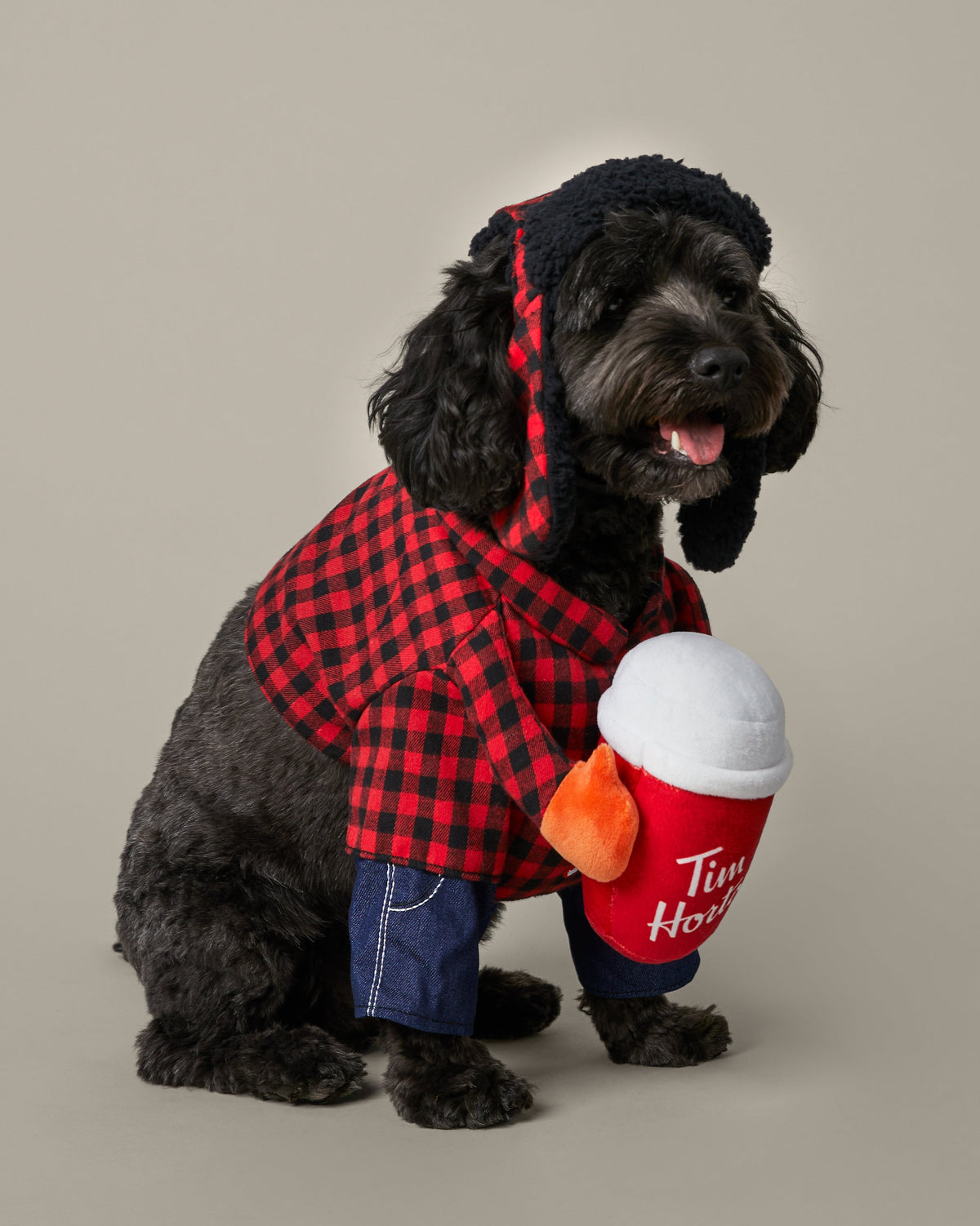 Lumberjack Pet Costume - TimShop - Image #1