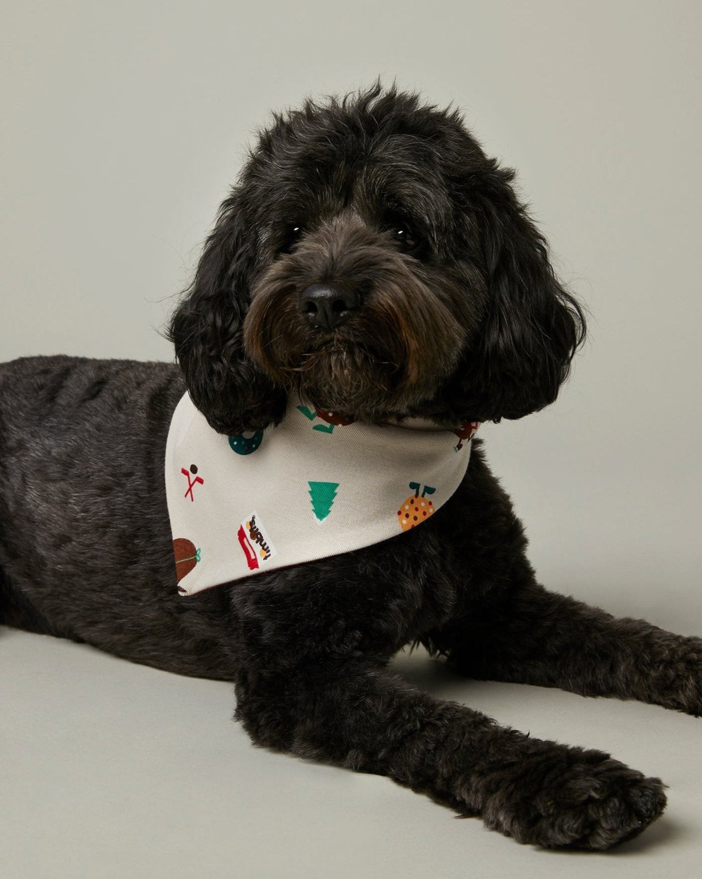 Tim Hortons Holiday Pet Reversable Bandana | Bandana réversible des Fêtes pour animaux de Tim Hortons - Image #1