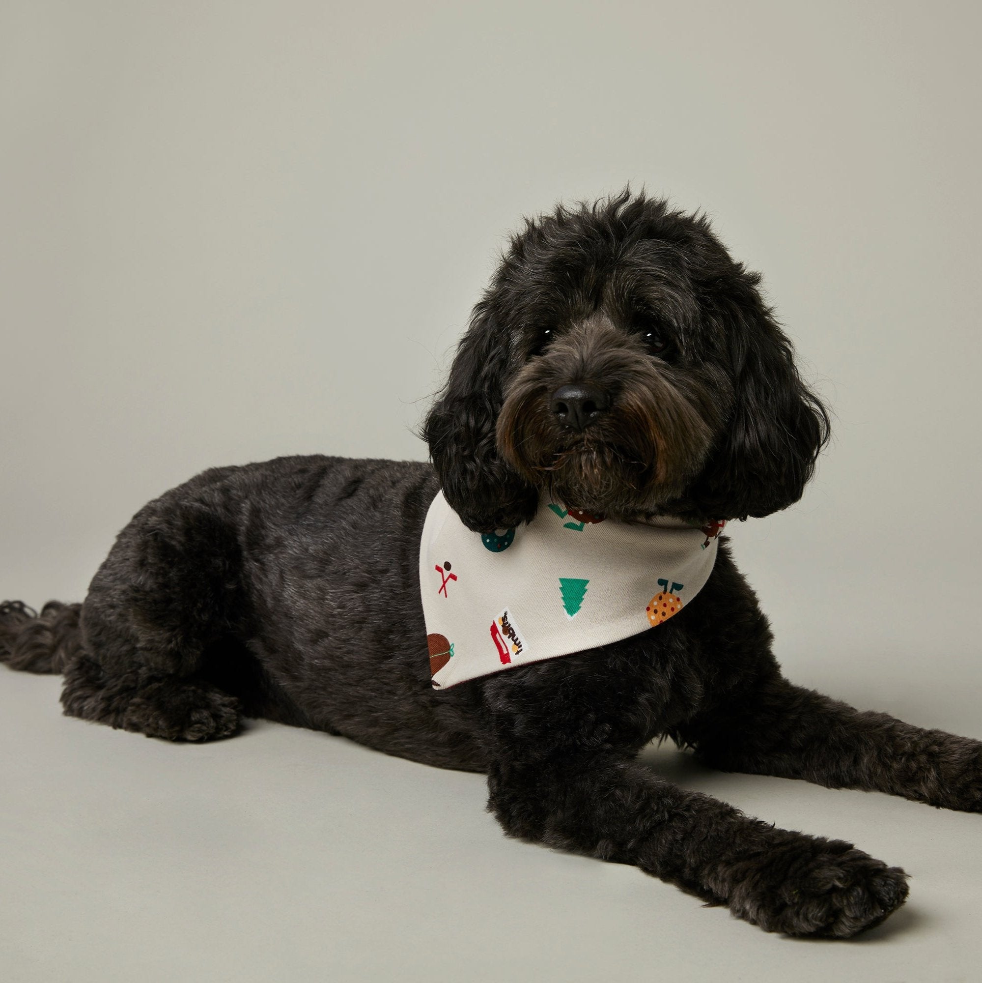 Holiday Pet Reversable Bandana - Image #1